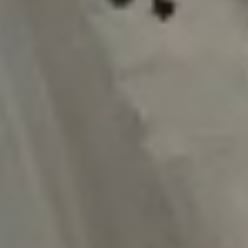 AI generated image by user_861721098708860134 on Tensor.Art
