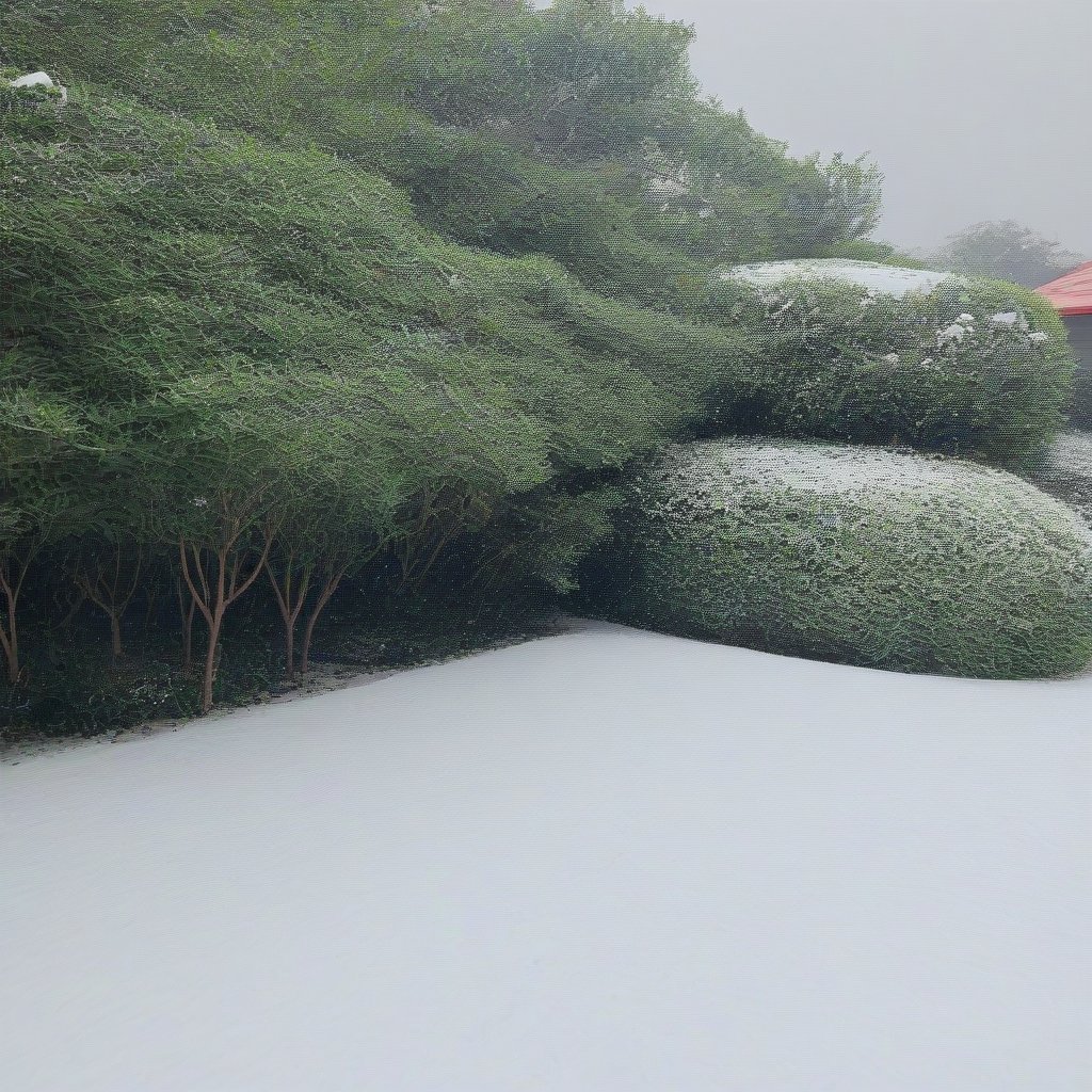 snow by 超市里扫货 on Tensor.Art