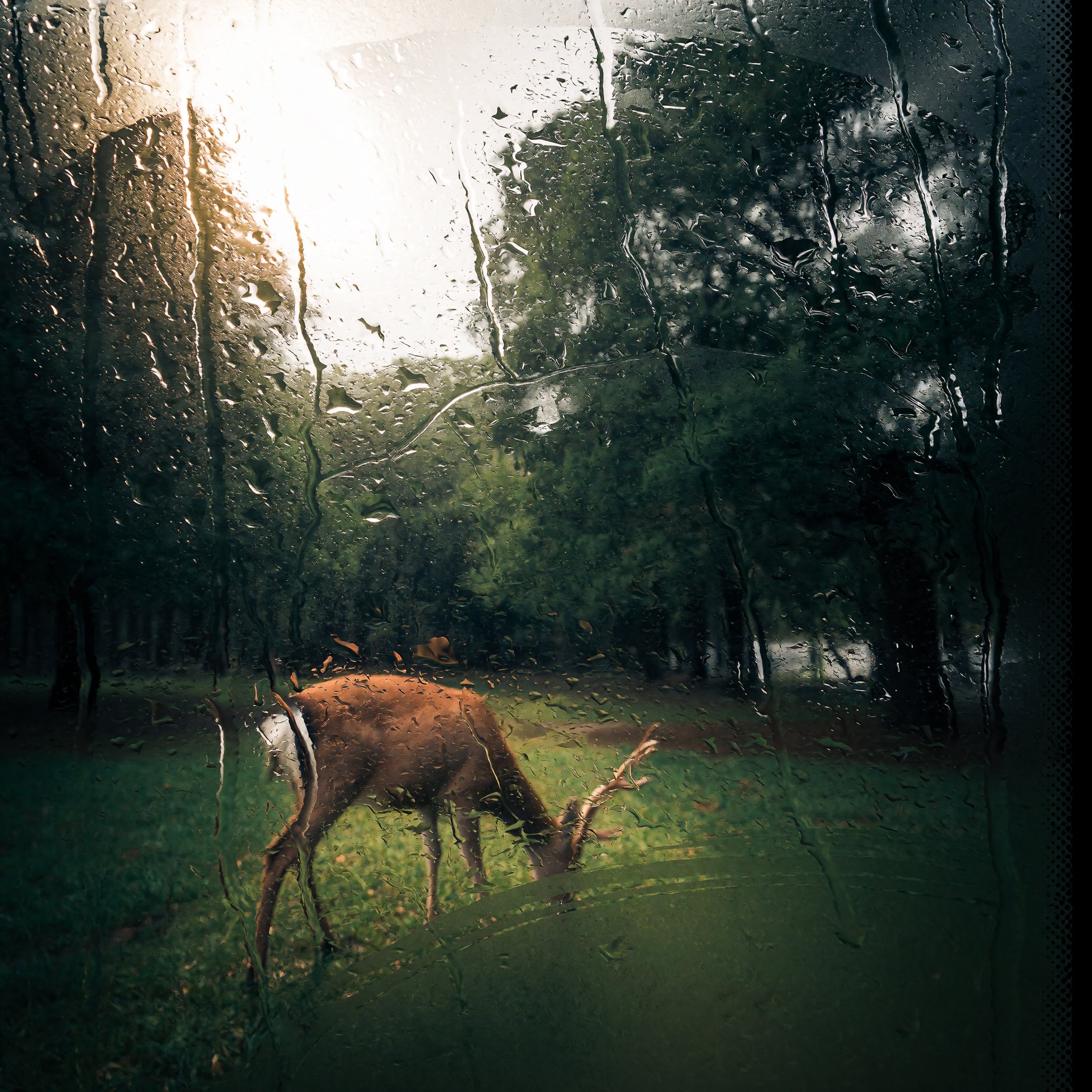 AI generated image by 1ronMan on Tensor.Art