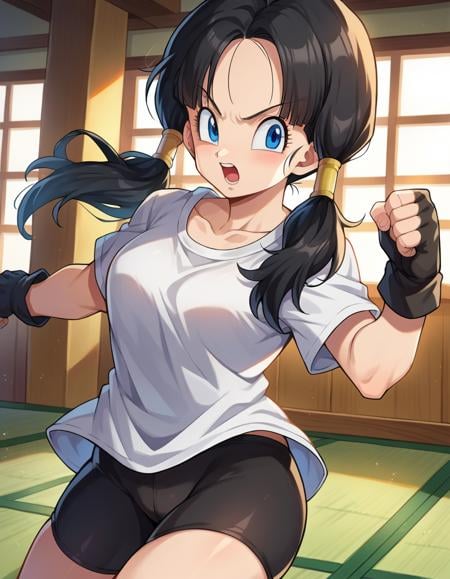 score_9, score_8_up, score_7_up, source_anime,videl, <lora:dragonball-videl-ponyxl-lora-nochekaiser:1>,videl, black hair, blue eyes, eyelashes, parted bangs, twintails,bike shorts, black gloves, black legwear, collarbone, fingerless gloves, gloves, shirt, short sleeves, white shirt,indoors, dojo,looking at viewer, cowboy shot, dutch angle, fighting stance, open mouth,