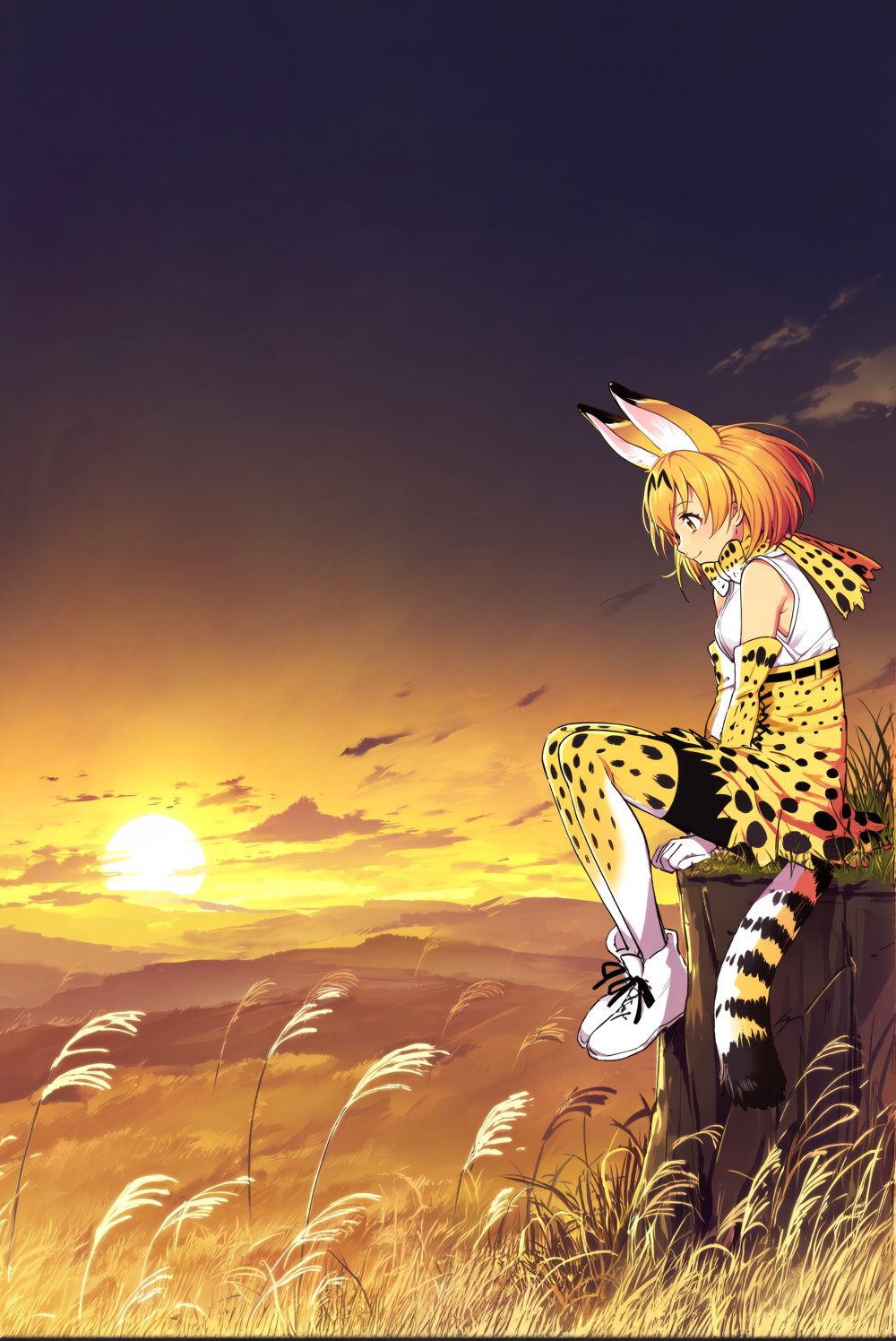 @cibo \(killy\). Serval sits alone at the edge of a high grassy cliff as the sun sinks below a vast golden savanna,  her c...