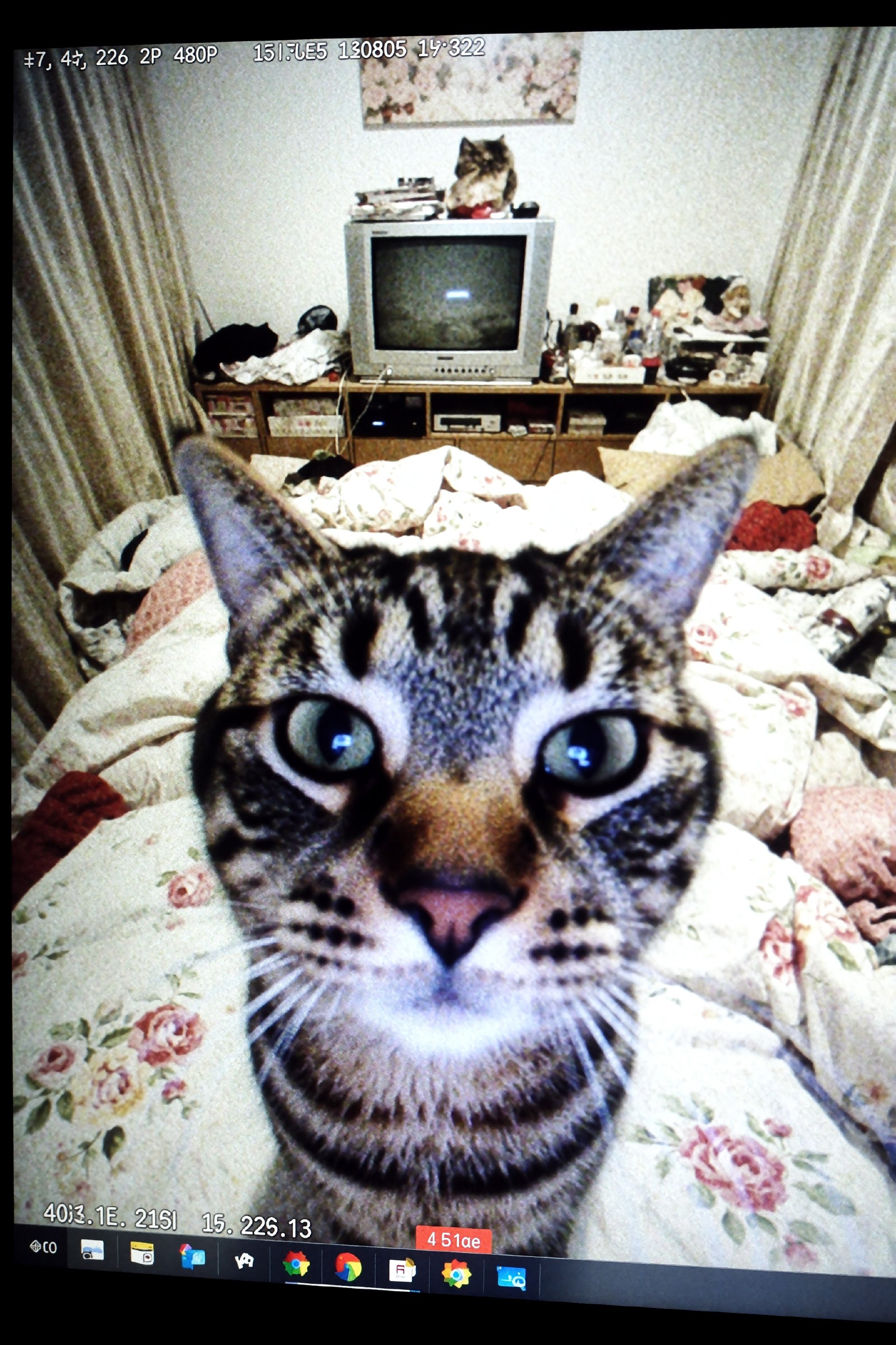 AI generated image by Alex on Tensor.Art