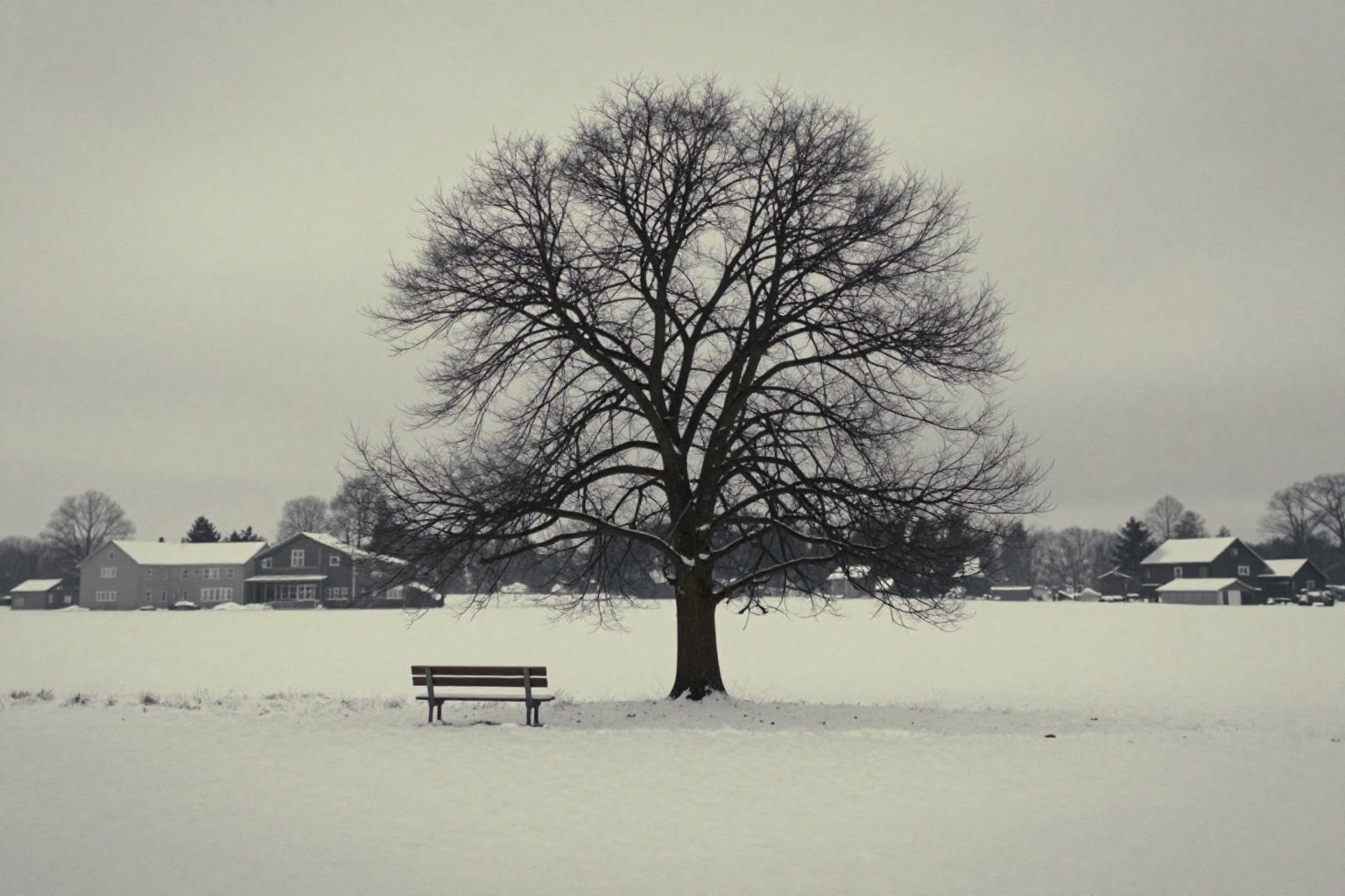 cinematic film still of photorealistic:1,  Cinematic Achromatic style a lone tree in a snowy field with a bench,  cinemati...