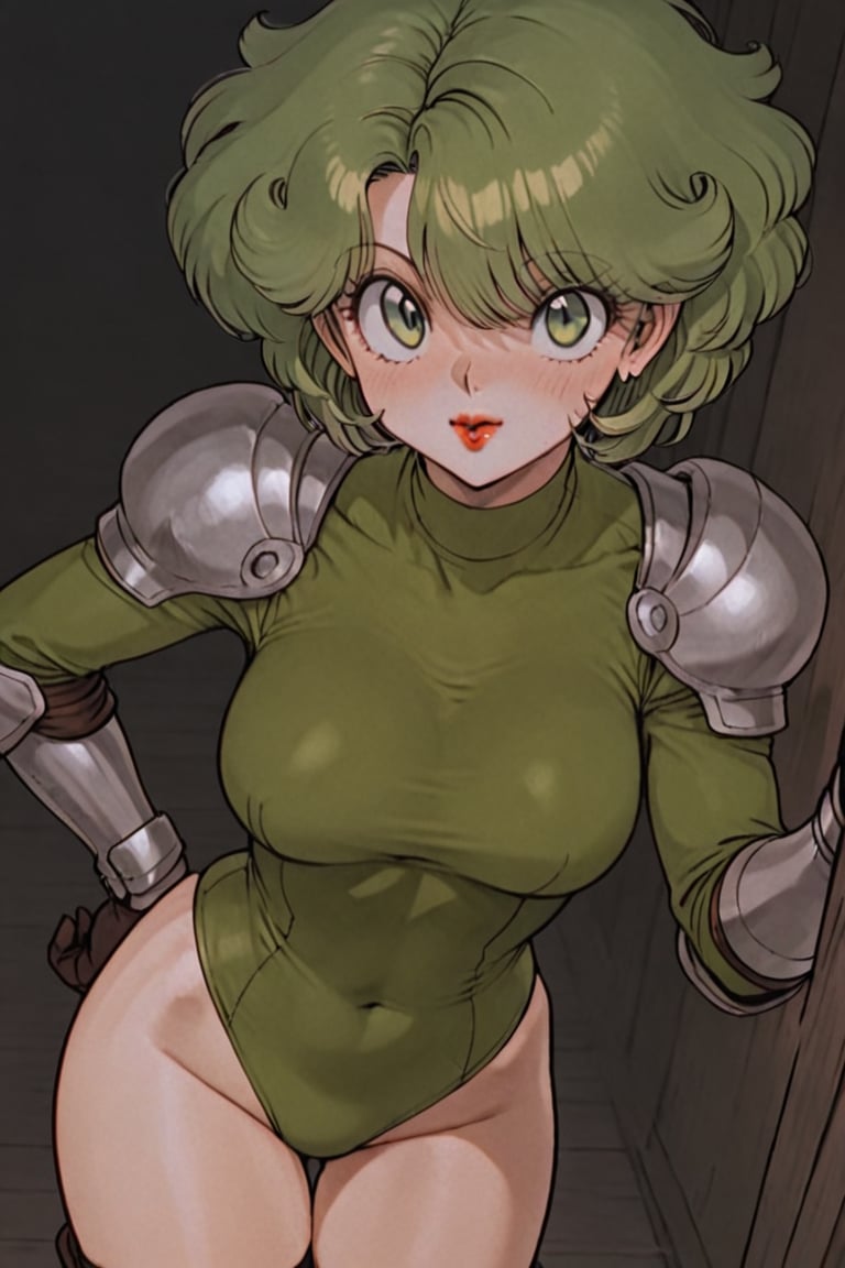 Leotard Knight,  masterpiece,  best quality by らび@kiyoka_succubus on Tensor.Art