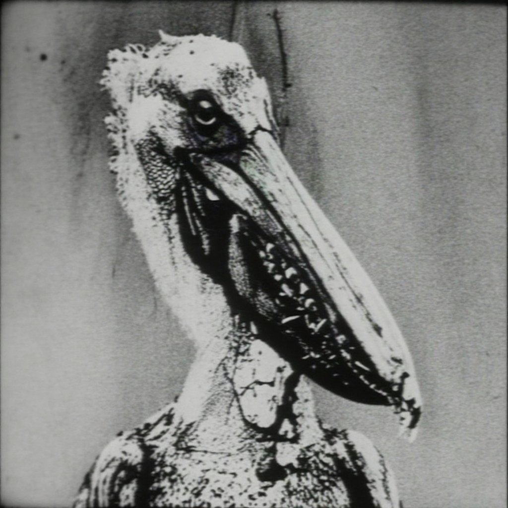 close-up view of a mutated pelican with clear reptilian features; its beak elongated and rigid,  the lower half lined with...