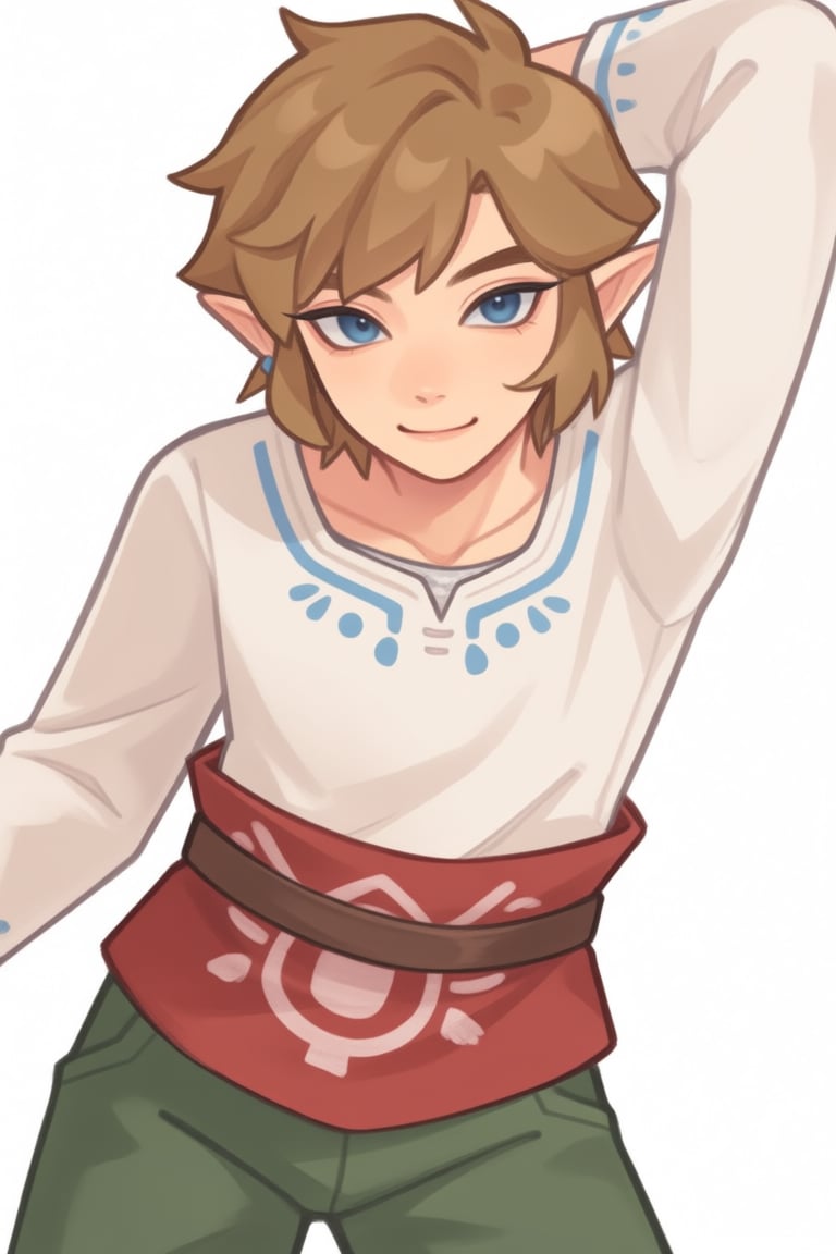Link_(SkywardSword),  1boy,  solo by SillyFemboy on Tensor.Art