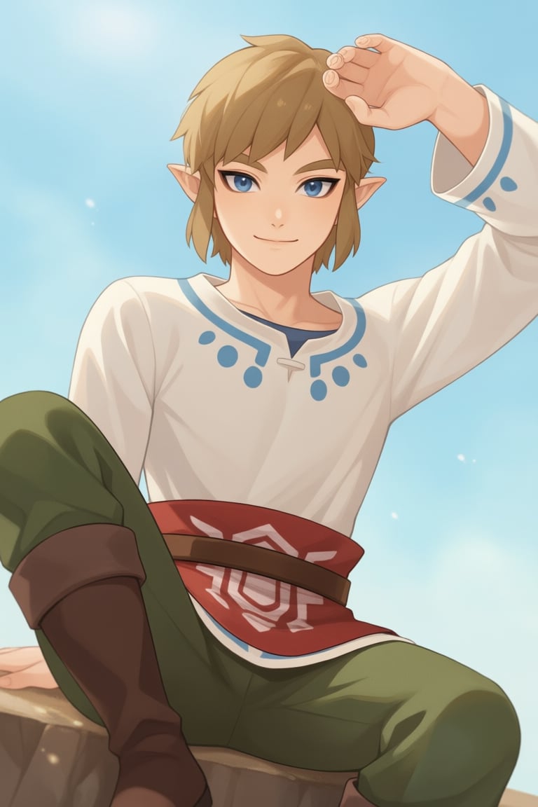 Link_(SkywardSword),  1boy,  solo by SillyFemboy on Tensor.Art