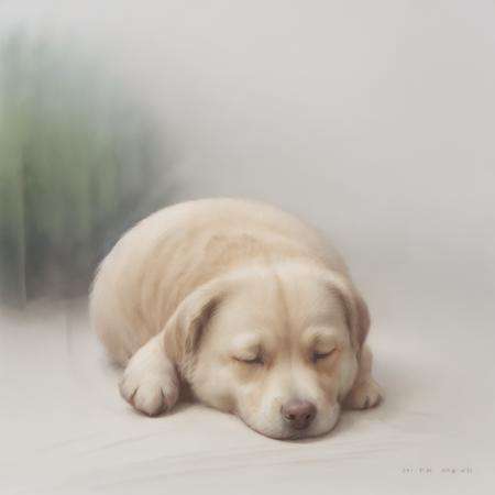 (illustration:1.1),(best quality),(masterpiece:1.1),(extremely detailed CG unity 8k wallpaper:1.1), (colorful),clear sharp focus,(dog),sleeping,indoor,wooden floor, animal,colorwater,(no humans),