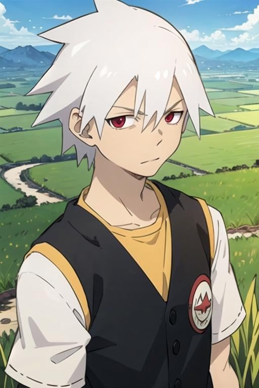 masterpiece, best quality, game cg, 1boy, solo, male focus, looking at viewer, upper body, , anime coloring, realistic, <lora:soul_eater_evans:0.66>, soul_eater_evans, white hair, red eyes, , , , rice paddy, HD