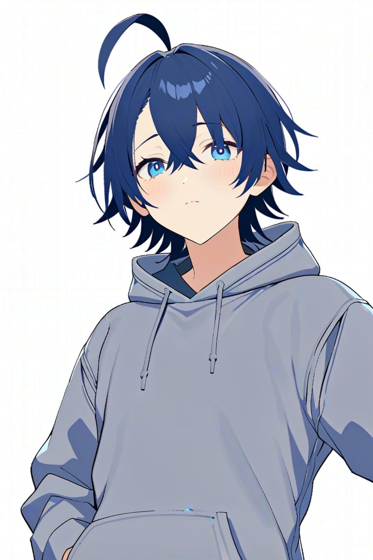 Raphael\(dimensionality of Morpheus\), 1male solo, (AS-Adult:1.4),
look at viewer, closed mouth, stand, blush, 
thinking,
upper_body, simple_background, white background,
asymmetrical bangs, crossed bangs, blue eyes, blue hair, short hair,ahoge, grey hoodie, casual,
(perfect detailed face), ((clear face)), perfect body, standard body, detailed eyes, beauty, normal body, 
beautiful face, ((clear details)), 
(highly detailed), masterpiece, ((best quality)), illustrations, high_resolution,