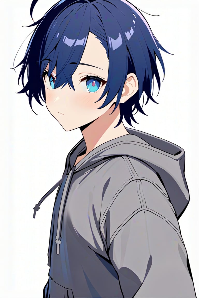 Raphael\(dimensionality of Morpheus\), 1male, solo, (AS-Adult:1.4), 
look at viewer, closed mouth, stand, blush, 
thinking, from side,
sharp focus, simple_background, white background,
asymmetrical bangs, crossed bangs, blue eyes, blue hair, short hair,ahoge, grey hoodie, casual,
(perfect detailed face), ((clear face)), perfect body, standard body, detailed eyes, beauty, normal body, 
beautiful face, ((clear details)), 
(highly detailed), masterpiece, ((best quality)), illustrations, high_resolution,