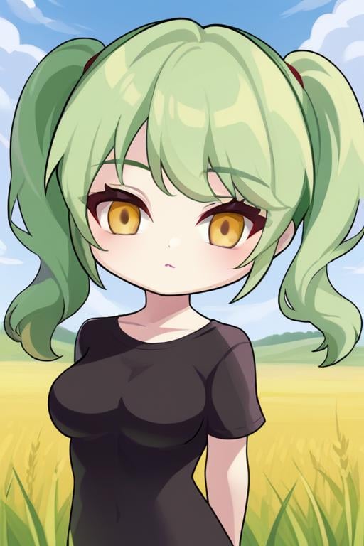 masterpiece, best quality, 1girl, green hair, twintails, yellow eyes, pale skin, breasts, black shirt, arms behind back, looking at viewer, upper body, field, sky, clouds <lora:GTChibiXL1024V1-07:0.7>, chibi