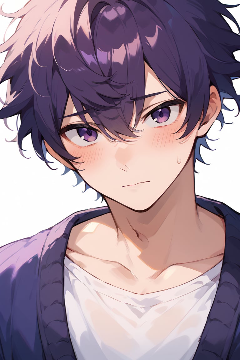 score_9,score_8_up,score_7_up, best quality,masterpiece, 1boy, male focus, shoto, purple hair, purple eyes, looking at viewer, upper body, close up, blush