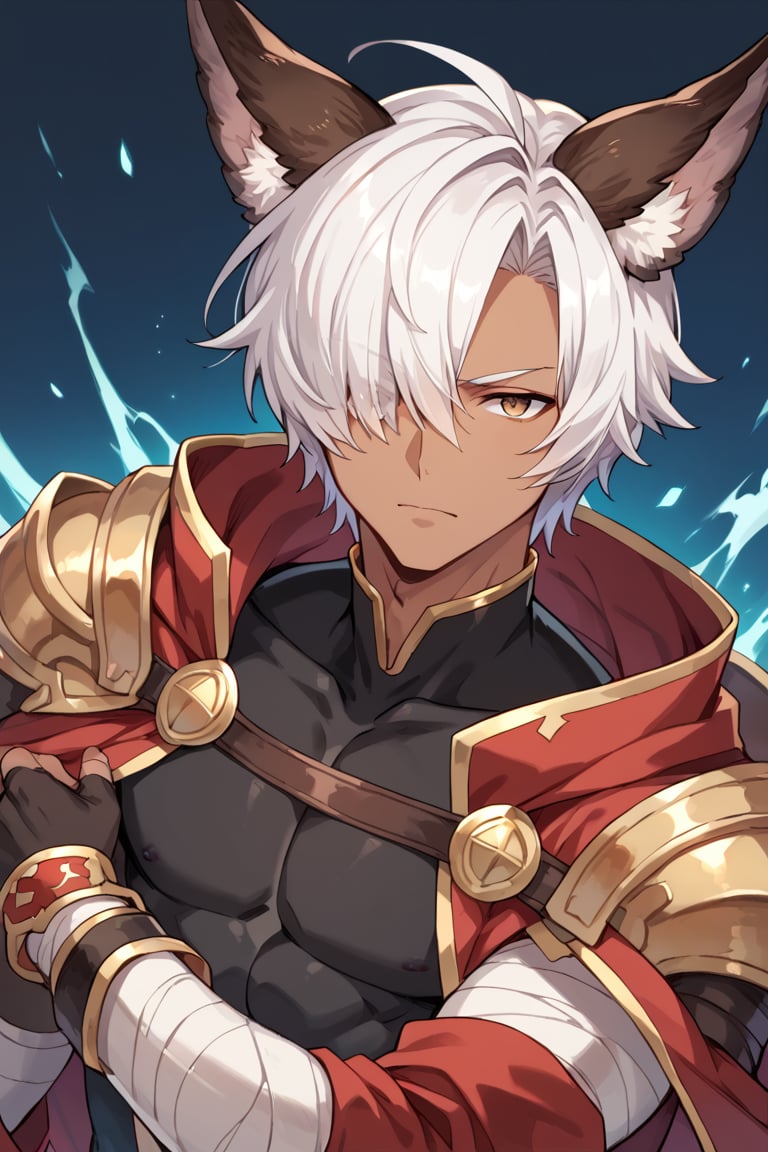 score_9, score_8_up, score_7_up, score_6_up, score_5_up, score_4_up, source_anime,  , BREAK, 1boy, ,male focus,  hazel eyes, looking at viewer, ,Eustace_GBF,hair over one eye,animal ears,white hair,dark skin,short hair