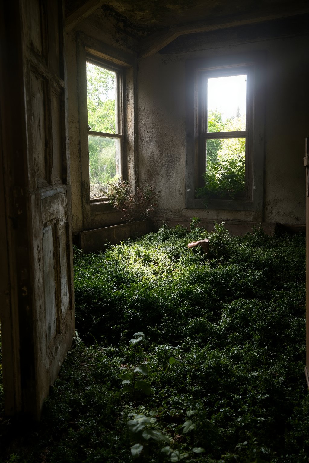 A ruined house, abandoned and with vegetation inside, the view is from the view of a window of the house and the sunlight coming in through them,Cinematic_Enhancer_Style