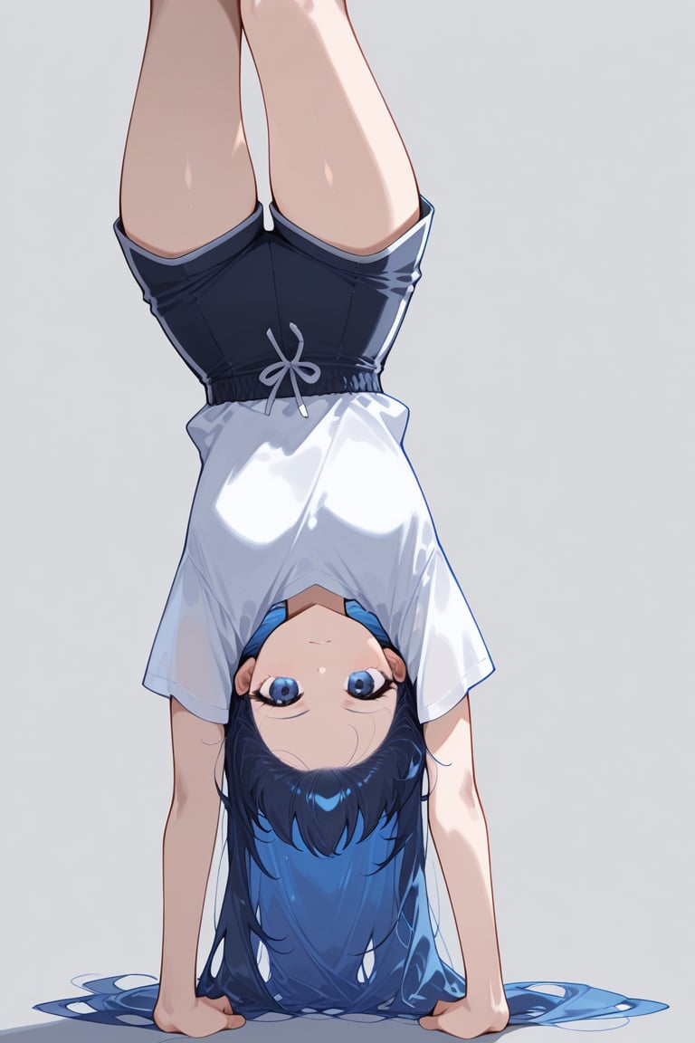 source_pony,  source_anime,  score_9 by Didactic on Tensor.Art
