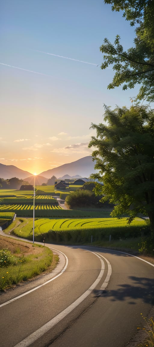 (absurdres, best quality, masterpiece:1.4),
Medium: Photograph. Theme: A dirt road, green rice fields, a broad tree, a clear blue sky, a gravel bike leaning against a tree, distant mountains in the background, and soft sunset clouds. Mood: Calm. Lighting: Soft golden hour. Scene: outdoor scenery, water canal, sunset. Style: Realistic, bright colors, high-definition real shot