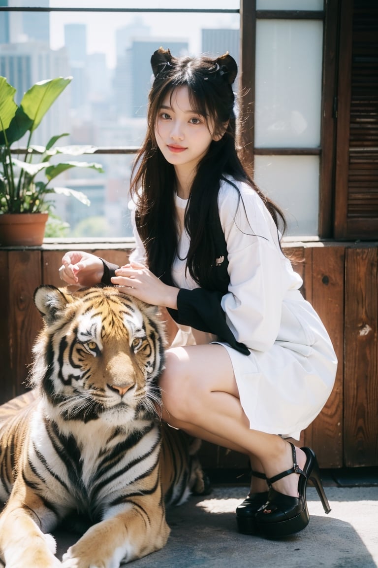 (Realistic, RAW photo), a portrait photograph of a 16-year-old Korean girl,, flash, big breasts,natural skin, , 8k uhd, high quality, film grain, (Fujifilm XT3) ,dream_girl, dynamic expression,  sexy face, (smile:1.3), (happy),(sitting), (hugging a tiger)
Character:
Hair: Short, black,
Clothes: Black mini skirt, white blouse,
Other: wearing high heels.