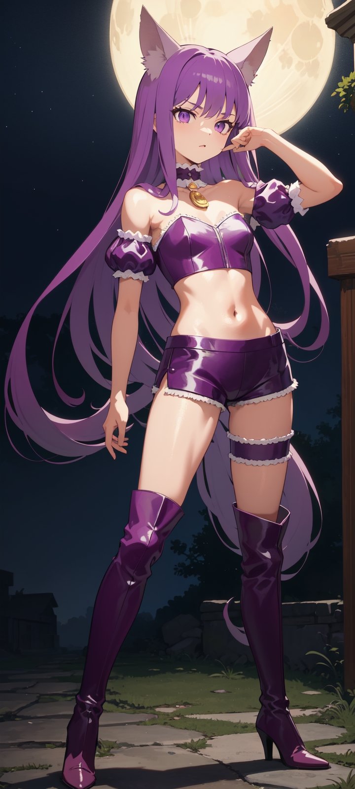 battle pose, adult zakuro, full body, small animal ears, purple hair, purple eyes, night, puffy detached sleeves, purple shorts, purple tube top, perfect small wolf tail, 1 perfect moon, ruin background, choker, high knee long boots, standing, bare belly