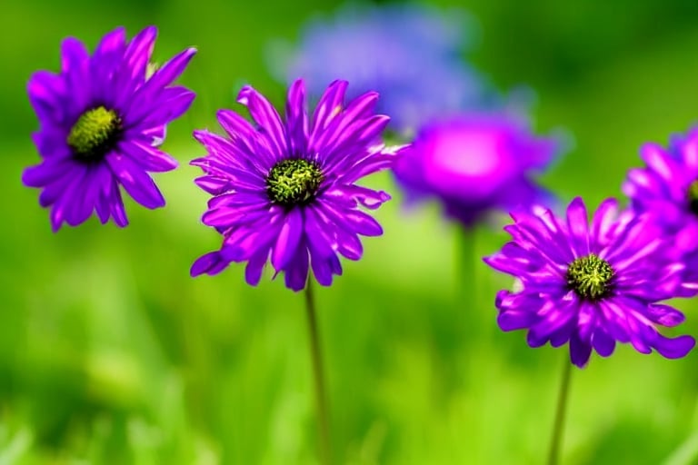 tiny seeds clinging tightly to the ground, in vibrant meadows filled with colorful wildflowers, a smiling sun in the sky,