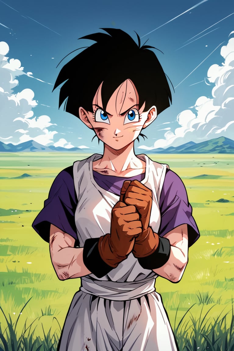 Videl, 1girl, blue eyes, shadows, blue eyes, short hair, masterpiece, best quality,  absurdres, perfect lighting, score_9, score_8_up, score_7_up source_anime, gloves, field, scratches, light smile, fighter pose, 