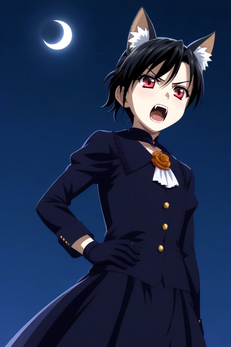 HD, 8k, highres, mantialiasing, Highly detailed, High Quality, masterpiece, beautiful, source_anime,
BREAK night, dark environment, moonlit sky, starry night, moon,
BREAK 1girl, solo, (madure woman, 30 years old), Mai Kiyoura, short hair, black hair, red eyes, flat chest,
BREAK werewolf, furry, fangs, animal ears, gloves, angry, teeth, animal ear fluff, open mouth, cowboy shot, dutch_angle