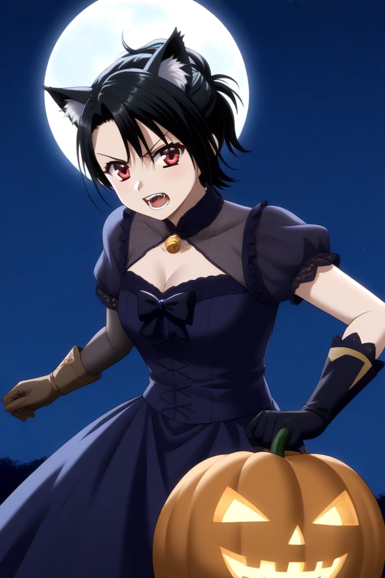 HD, 8k, highres, mantialiasing, Highly detailed, High Quality, masterpiece, beautiful, source_anime,
BREAK pumpkin patch, night, dark environment, moonlit sky, starry night, moon,
BREAK 1girl, solo, (madure woman, 30 years old), Mai Kiyoura, short hair, black hair, red eyes, flat chest,
BREAK werewolf, furry, fangs, animal ears, gloves, angry, teeth, animal ear fluff, open mouth, cowboy shot, dutch_angle