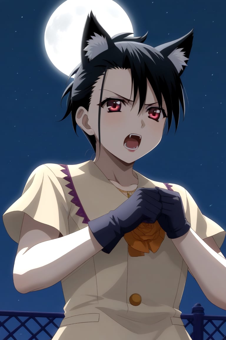 HD, 8k, highres, mantialiasing, Highly detailed, High Quality, masterpiece, beautiful, source_anime,
BREAK night, dark environment, moonlit sky, starry night, moon,
BREAK 1girl, solo, (madure woman, 30 years old), Mai Kiyoura, short hair, black hair, red eyes, flat chest,
BREAK werewolf, furry, fangs, animal ears, gloves, angry, teeth, animal ear fluff, open mouth, cowboy shot, dutch_angle