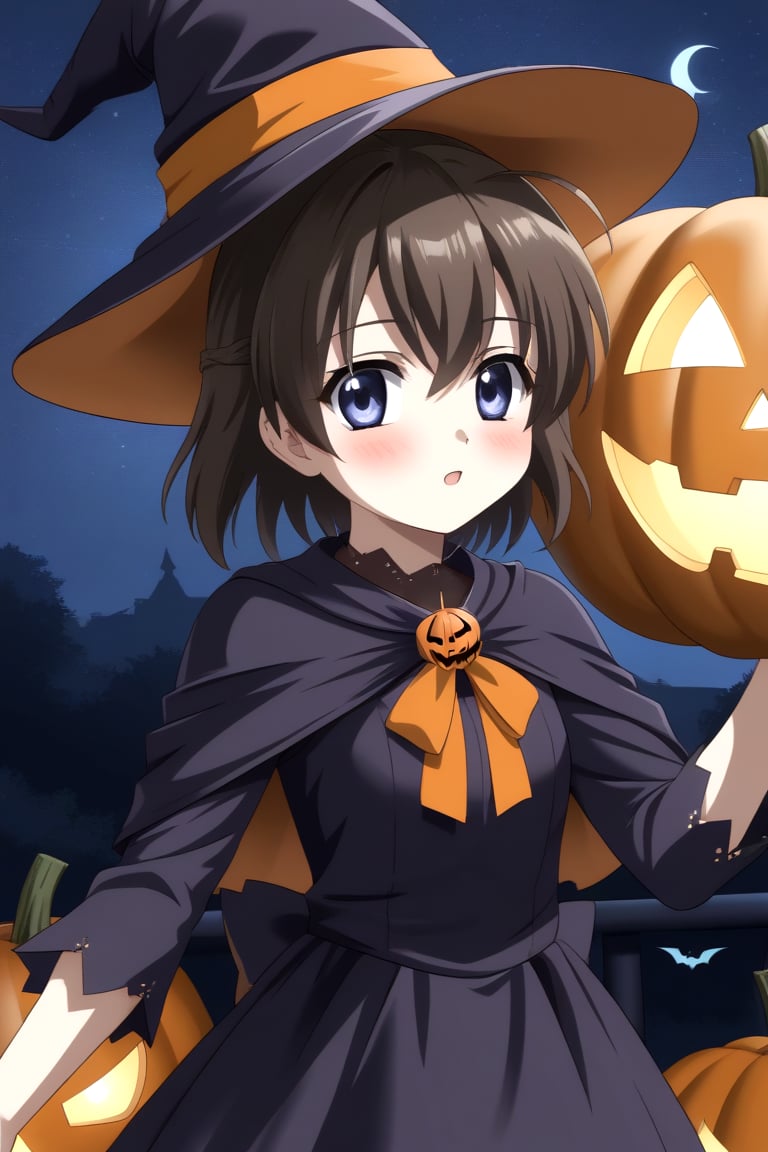 HD, 8k, highres, mantialiasing, Highly detailed, High Quality, masterpiece, beautiful, source_anime,
BREAK pumpkin patch, night, dark environment, moonlit sky, flying bats, halloween magic, starry night,  jack-o’-lanterns,
BREAK 1Girl, young woman, 16 years old, Sekai Saionji, brown hair, blue eyes, ahoge, short hair, 
BREAK witch, hat, witch hat, dress, halloween, halloween costume, jewelry, blush, looking at viewer, Upper body, perfect_eyes,