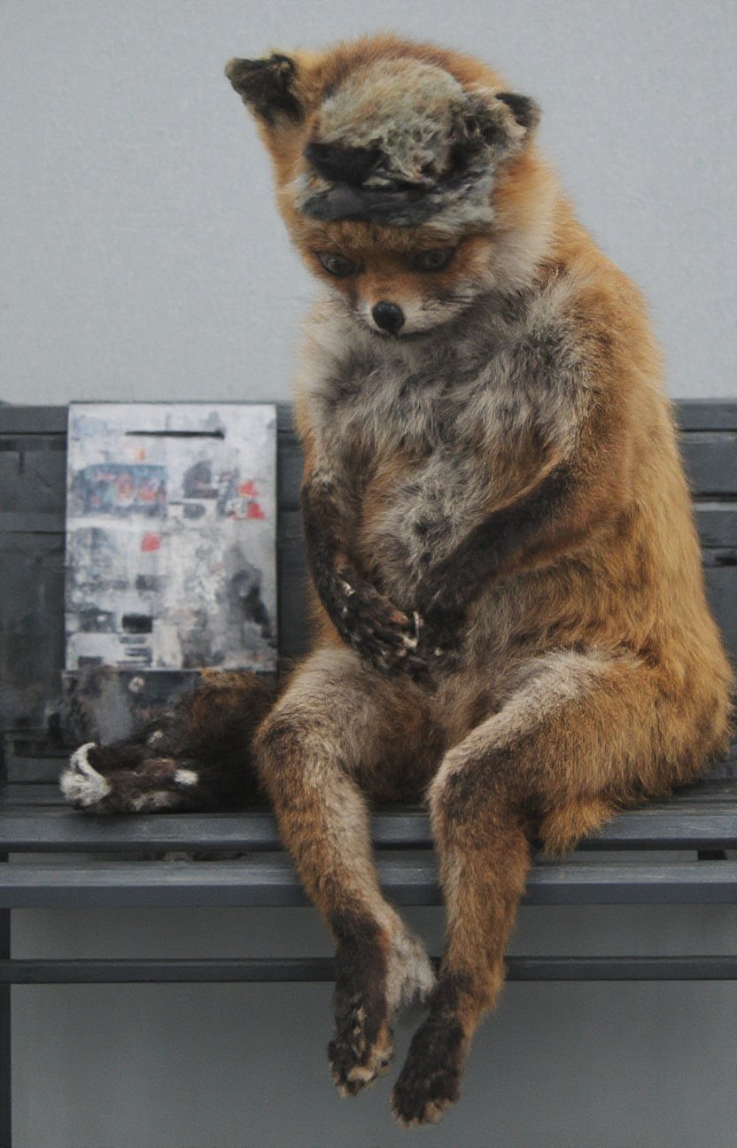 side view,  a staring fox sitting head down on a bench feeding pigeons, the fox is wearing an old woman's hat.  There is a sign beside him that say "Feed the Buzz (Tuppence a Bag)"