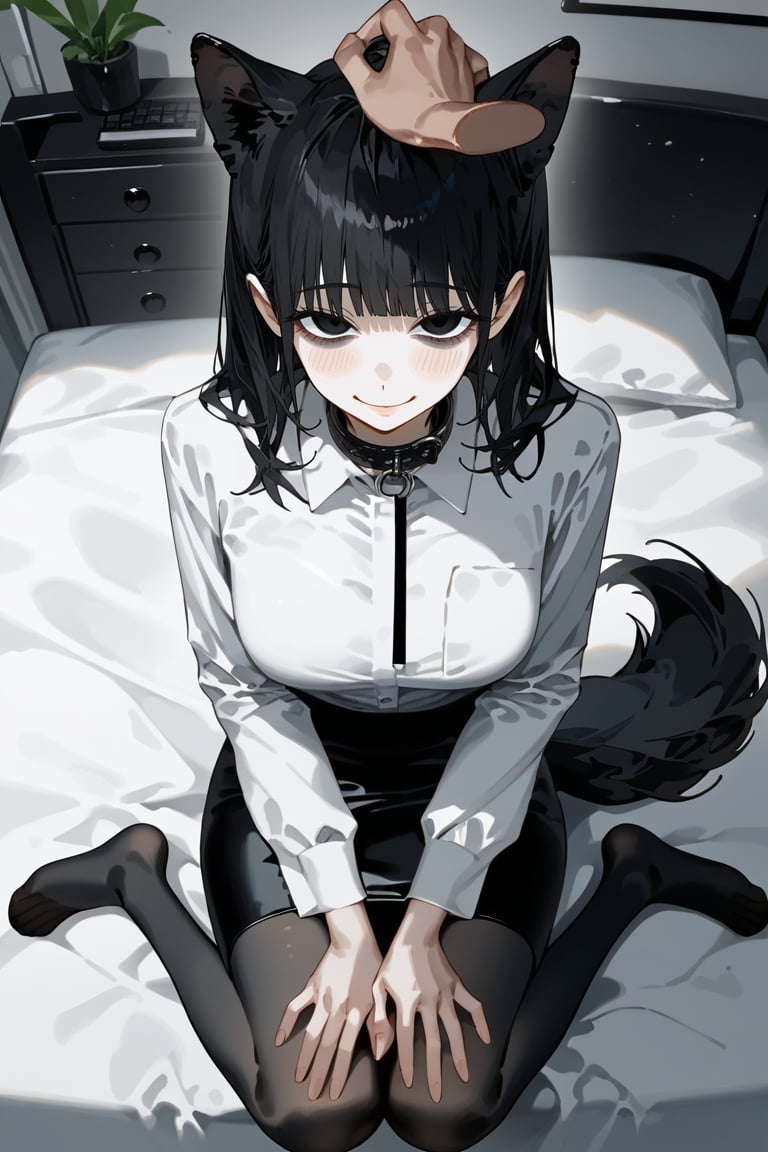 score_9, score_8, score_7, curvy, 1girl, solo, curvy, tall, big blue eyes, long, dark hair, tired, blushing, smiling seductively, big_boobs, pale skin, black dog collar, sitting on bed, fluffy animal ears, (white fluff), black wolf ears, black dog tail, ((white formal shirt)), long sleeves, bang, pov giving a headpat ,viewer's hand on hair,knee long pencil skirt, black tights, mouth closed, (looking at viewer), indoor, (apartment bedroom), from above, viewed_from_side, sagawa, detailed character,Minimalism interior, pov hands