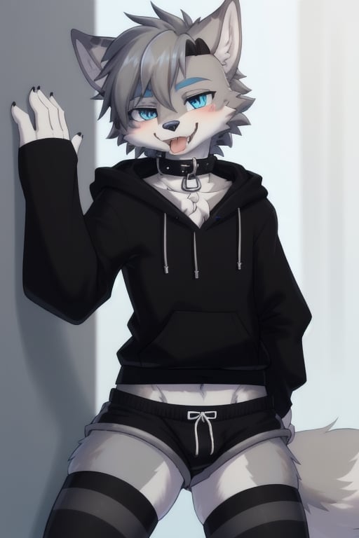 Raff is a grey wolf guy with blue eyes,  femboy and is wearing thigh highs and arm sleeves with a black hoodie and shorts...