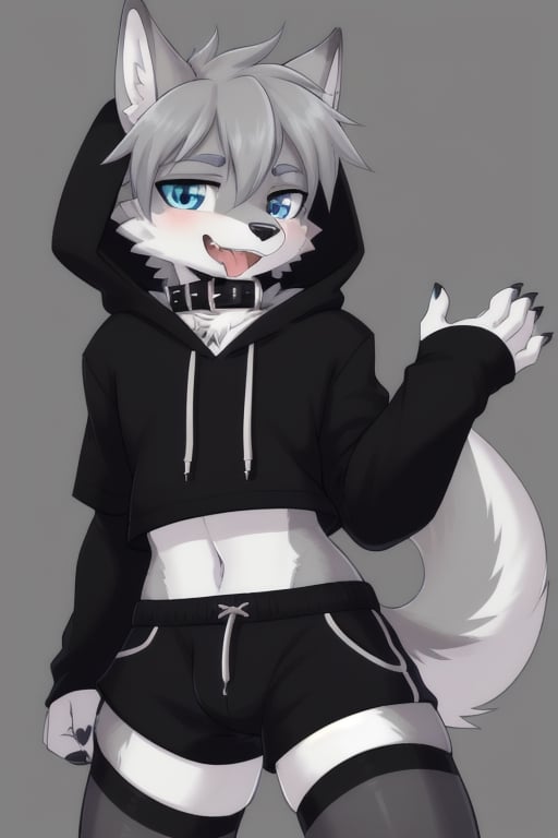 Raff is a grey wolf guy with blue eyes,  femboy and is wearing thigh highs and arm sleeves with a black hoodie and shorts...