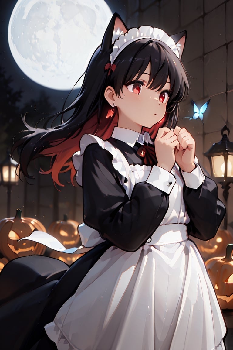 ((Long,  beautiful hair,  dynamic movement. Wind blowing through her hair.)) A lively girl with cat ears. Her long hair fe...