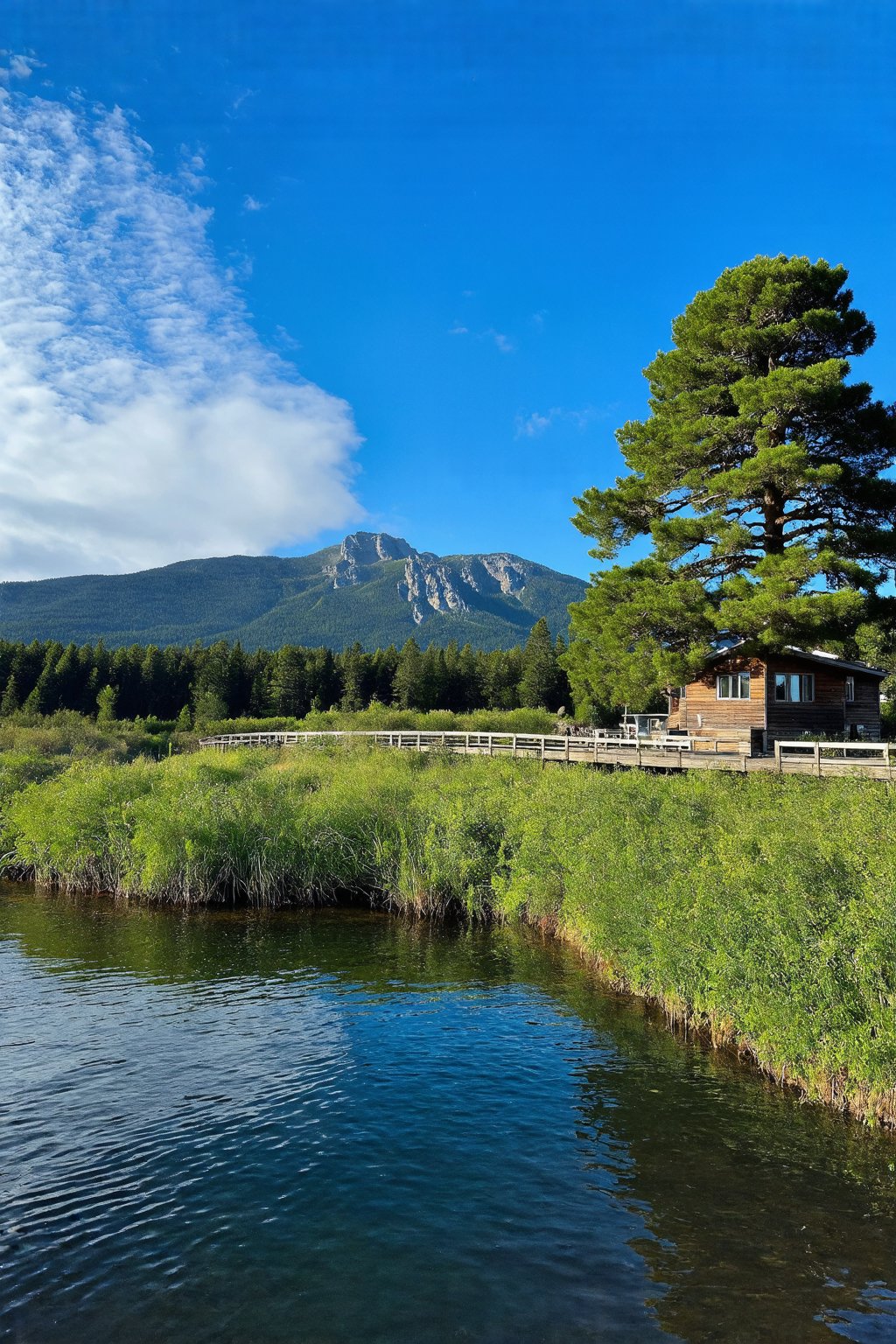 A serene outdoor scene unfolds: a brilliant blue sky stretches above, with wispy clouds drifting lazily across. In the distance, a majestic mountain range rises, its peaks shrouded in mist. A tranquil lake glimmers, reflecting the vibrant hues of the sky. A sturdy tree stands sentinel beside the water's edge, its branches stretching towards the heavens. Nearby, a charming house with a large window seems to lean in, as if listening to the gentle lapping of the water against the shore. In the foreground, lush green grass and a quaint wooden bridge complete this idyllic scenery.