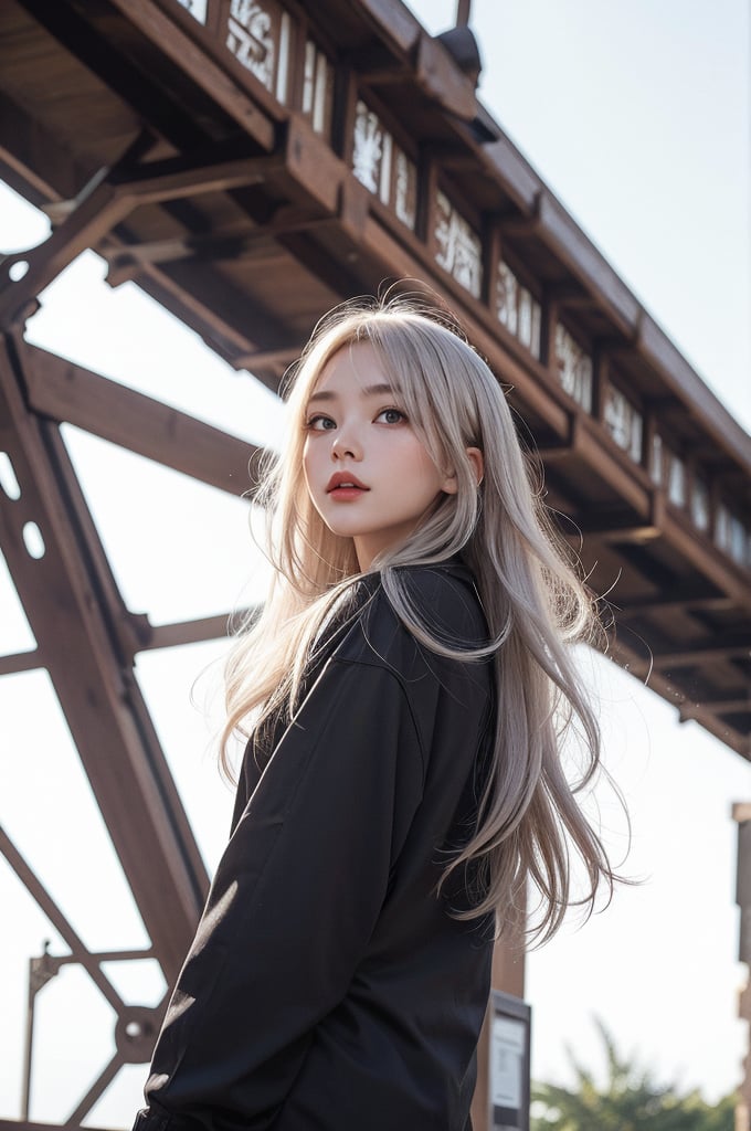 masterpiece,best quality,fenhong,1 girl,platinum blonde with silver undertones hair