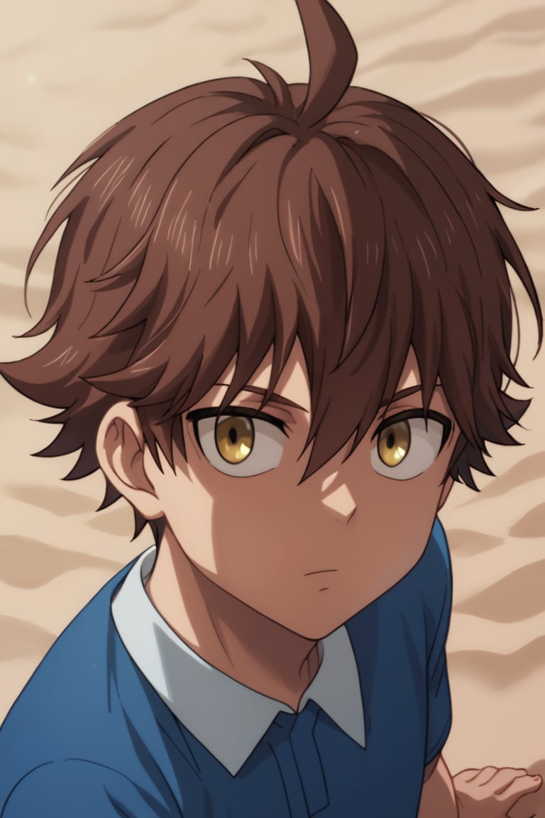 score_9, score_8_up, source_anime, highly detailed, solo, 1boy, male focus,score_9_up,score_7_up,masterpiece,cartoon, portrait, looking_at_viewer, thin, big_eyes, Child Emperor,Isamu,brown hair, yellow eyes, spiky hair, ahoge, beach, laying_down, looking_at_side, blue_shirt,