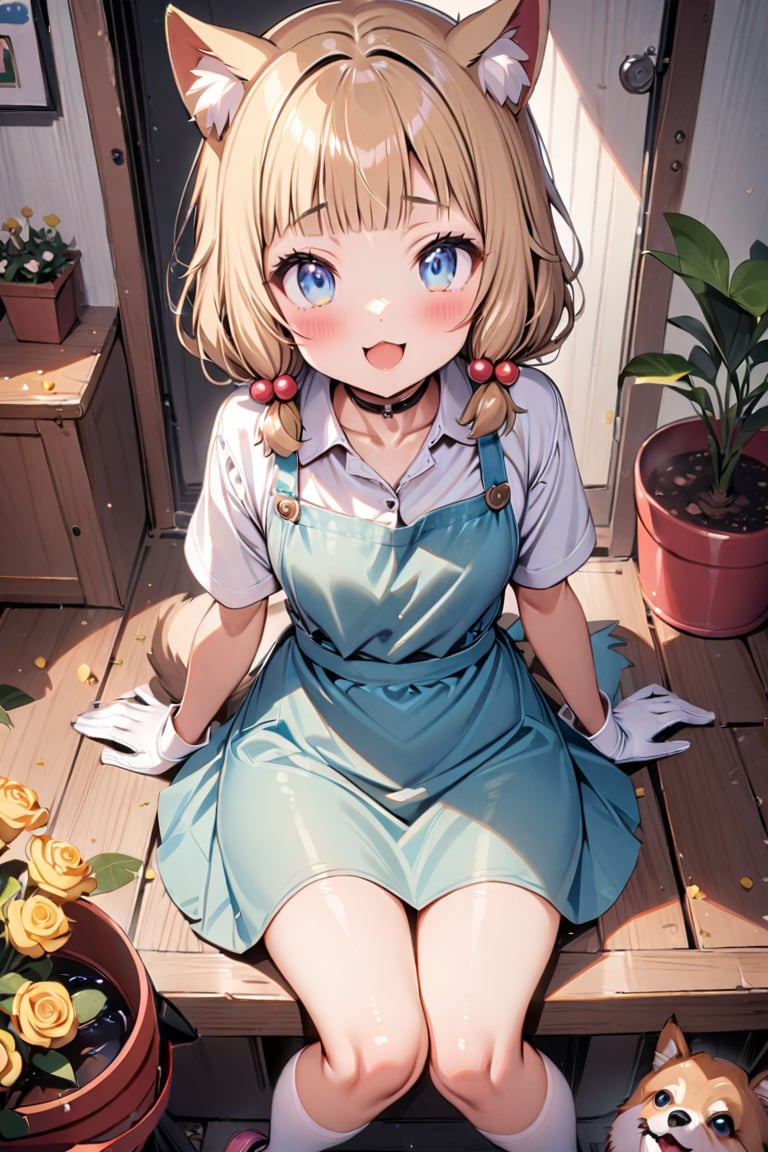 (masterpiece), sakura nene, 1girl, looking at viewer, blush, smile, short hair, open mouth, ((bangs)), blue eyes, blonde hair, brown hair, shirt, hair ornament, low twintails, , collarbone, :d, blunt bangs, hair bobbles ,

 , animal, white flower, shirt, animal ears, flower, collared shirt, , socks, , white socks, gloves, , apron,  sitting, , blush, ,tail, yellow flower, pink footwear, white shirt, animal ear fluff, , bird, kneehighs,, full body, skirt, rose, potted plant, , watering can, , shoes, blue skirt,

V-shraped eyebrows,
frog-sit, open legs,
knees away, korgi, dog between legs,
play with dog, dog looking a girl,
looking at dog, shot from front and above,

score_9,sakura nene,score_8_up,Details,mona,Detailed Masterpiece,nekomimimeganekao