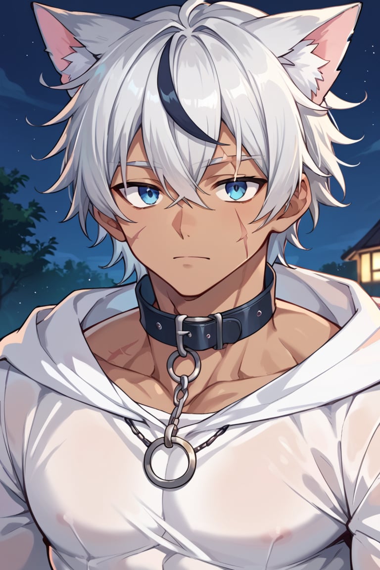 score_9, score_8_up, score_7_up,source_anime, male,1boy,male focus, 
silver hair, black streaked hair, blue eye,silver cat ears, 
dark skin, 
hair between eyes,
muscle, looking at viewer, 
 night, collar, scar on cheek,white clothes,