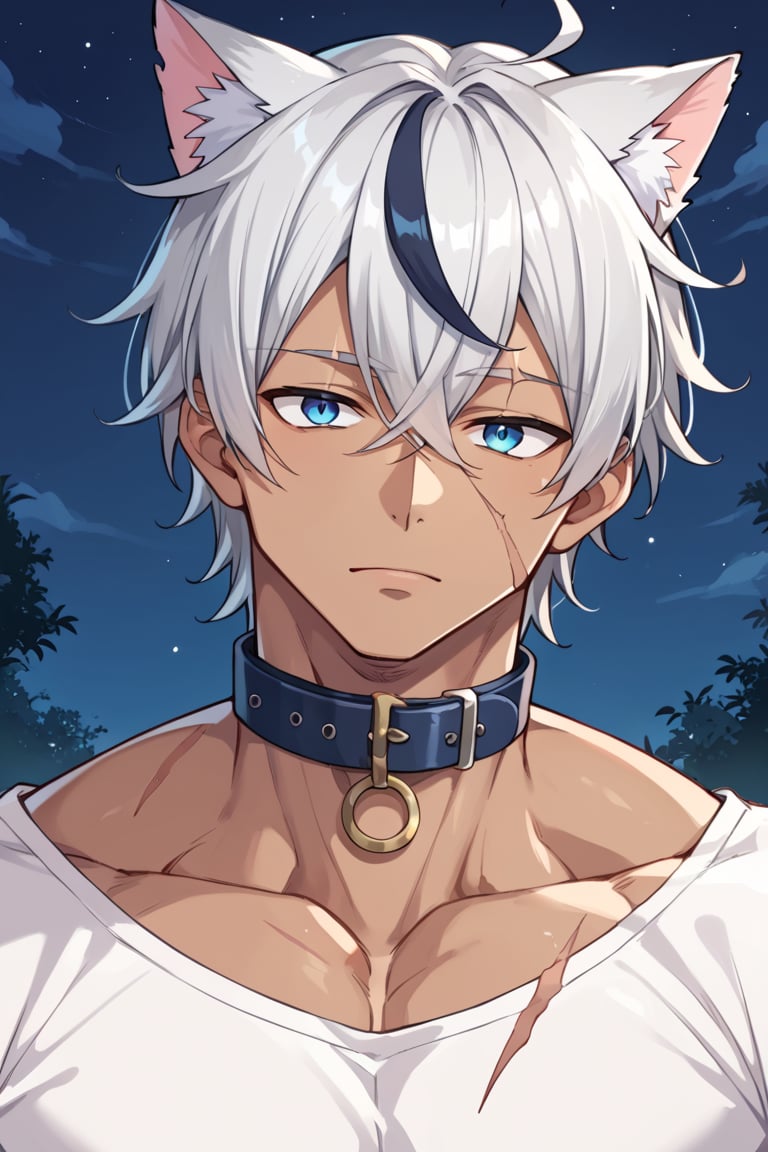 score_9, score_8_up, score_7_up,source_anime, mature male,,male focus, silver hair, black streaked hair, blue eye,silver cat ears, dark skin, hair between eyes,
muscle, looking at viewer,  night, collar, scar on cheek,white clothes,