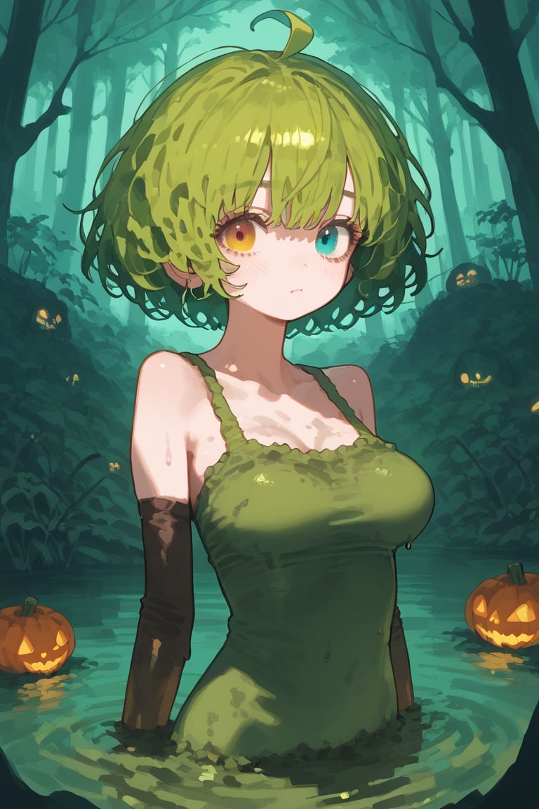 Score_9, score_8_up, score_7_up
((absolute masterpiece:1.4, maximum quality:1.2)),((extremely detailed)),
, super detailed , score_anime, 1girl,cute,heterochromia,busty,green hair, messy short hair, ahoge,covered in moss,tentacles, covered in mud,moss,tentacles,swamp_monster,halloween, swamp, horror,1e2,c0l0urc0r3,bright colors