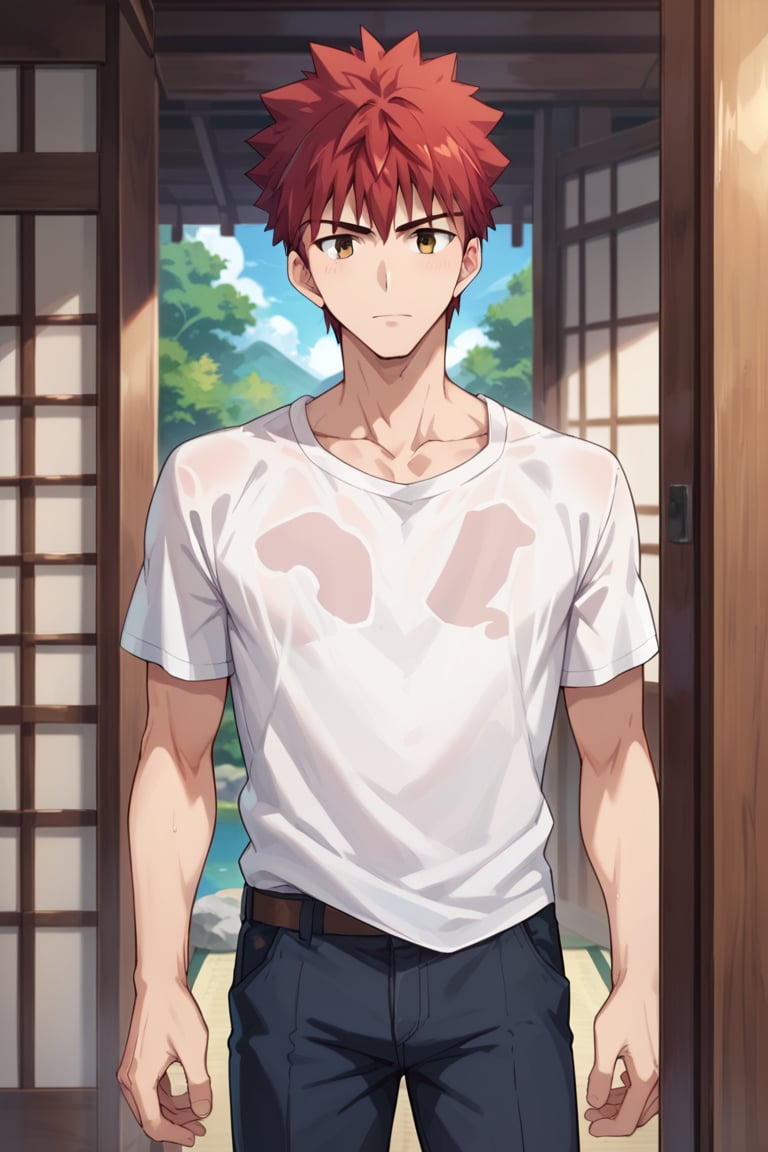 score_9,score_8_up,score_7_up,score_6_up,score_5_up,score_4_up,source_anime, masterpiece, best quality, perfect anatomy, BREAK,1boy, focus male, solo,emiya_shirou,red hair,spiked hair,brown eyes, collarbone, mature_male,japanese house, pants,shirt, teenager, looking_at_viewer