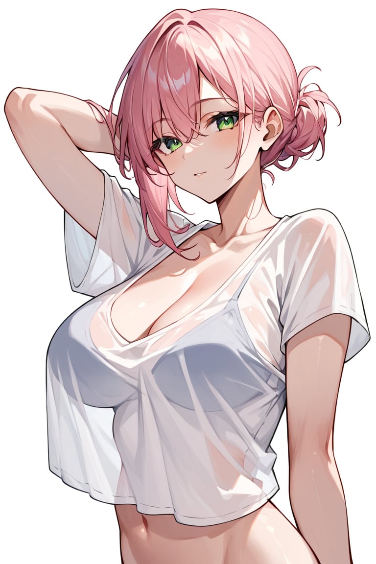 score_9_up, score_8_up, score_7_up, score_6_up,score_5_up,score_4_up,source_

white background,
1gir, pink hair, green eyes, big chest, transparent shirt