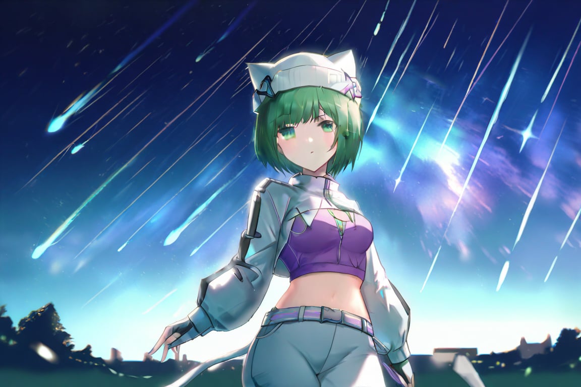 Ela,green hair,green eyes,short hair,purple crop top,cat ears headwear,hat,white opened jacket,fingerless gloves,long sleeves,white pants,masterpiece,best quality,illustration,ultra detailed,hdr,Depth of field,(colorful),Artist rokusai,night,fantasydi,onnk,meteor shower,looking at viewer