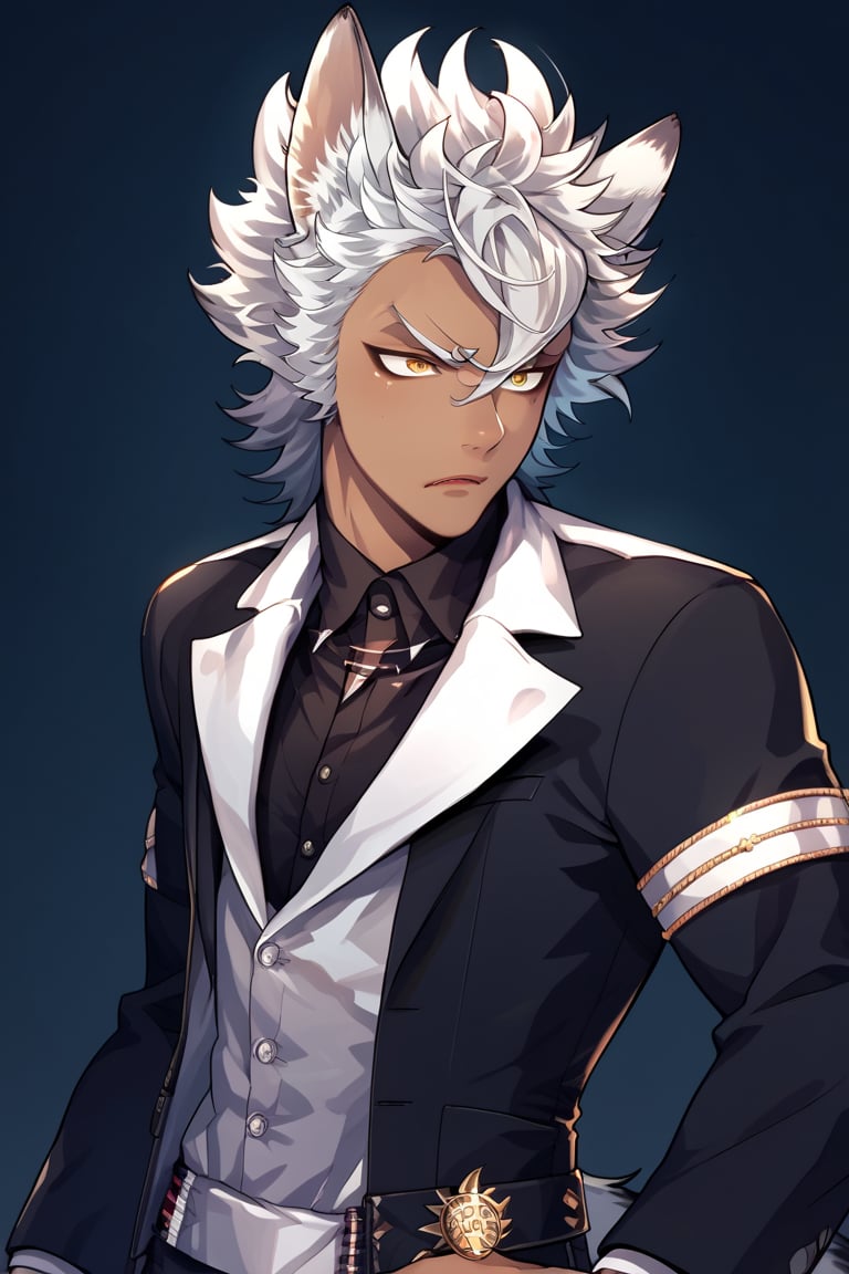 score_9,score_8_up,score_7_up,score_6_up,score_5_up,score_4_up,source_anime,BREAK,jack howl,wolf ears, wolf tail,spiked hair, yellow eyes,white hair,necklace, perfect face, athletic_male ,best anatomy, face_mask, elegant_uniform, 