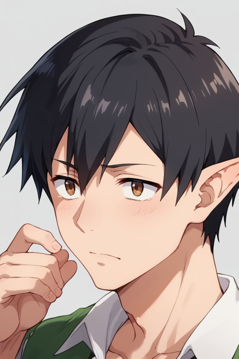 score_9, score_8_up, score_7_up, score_6_up, score_5_up, score_4_up, source_anime, BREAK, 1boy, male focus, Mukoda_Tsuyoshi, black hair, brown eyes, simple background, pointy ears