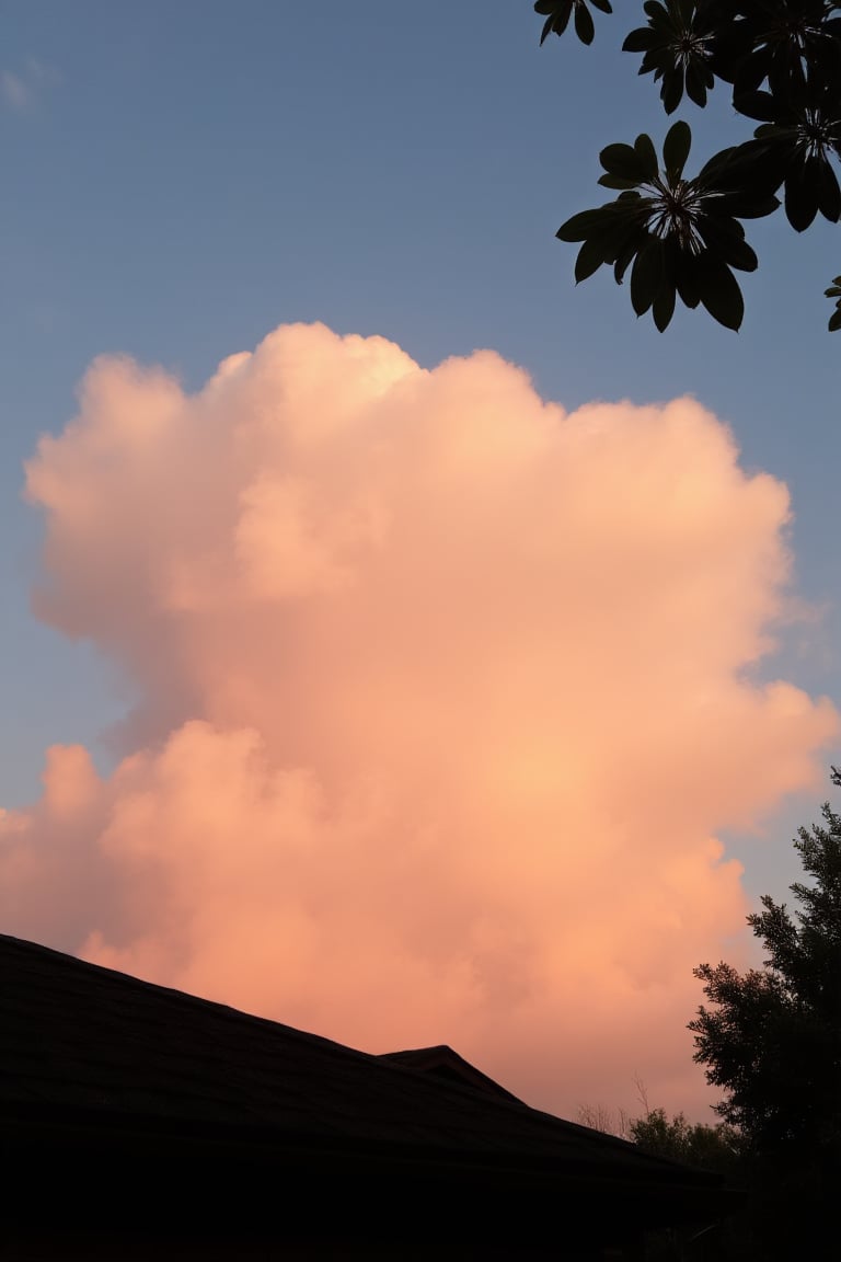 As if I had taken a photo of the sky at sunset and a cloud appears in the shape of an elephant, I am in my house and you can see a part of the roof and the leaves of the tree