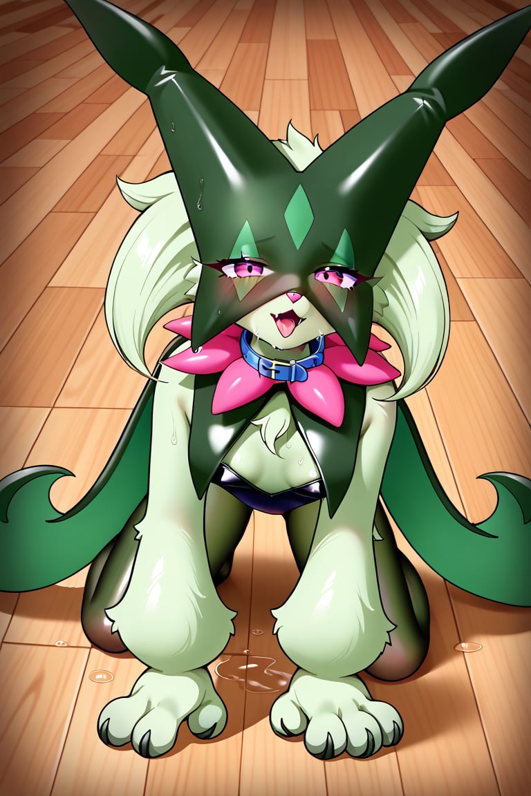 Highly detailed, High Quality, Masterpiece, beautiful, 1girl,source_anime,pokemon,meowscarada ,furry, doggy pose on the floor, looking at user, pet collar, bunny suit ,small chest, expression shame, wet fur with water