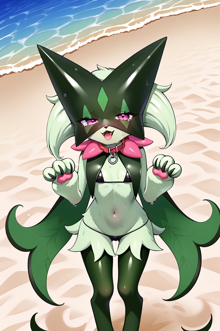 Highly detailed, High Quality, Masterpiece, beautiful, 1girl,source_anime,pokemon,meowscarada ,furry, black fur color ,cute pose. looking at user, pet collar, micro_bikini  colour blue,small chest, expression shame, wet fur with water. beach