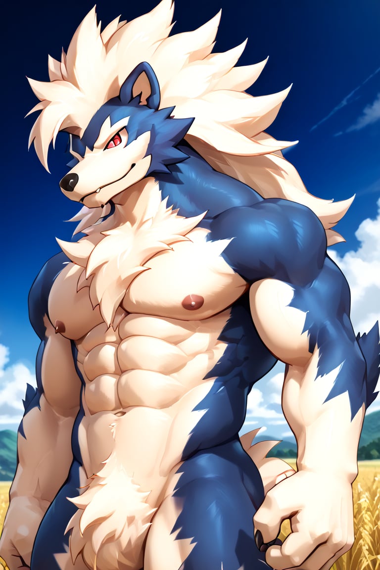 ((Solo)), male people, anthro furry male, kemono, Pokemon arcanine, ((fluffy fur, fluffy, furry body)), red eyes, hair tuft, long hair, light blue body, blue body, muscles, Long wolf tail, midnight_lycanroc head, ((white hair, mohawk hair, long textured bangs with a peak finish)), (white muzzle, white forearms), Thick muscular body, Thick body, muscles, Detailed Tiger stripes in arms, hot body, muscle, Beautiful, sexual, Attractive guy, (Detailed red eyes), brows, (masterpiece, A high resolution, Best quality), 4K, a male, portrait, Beautiful shadow, (Height 2.1 meters,Tail length 1.5m), Abs, pinginuscular, A long big tail, by patto, field